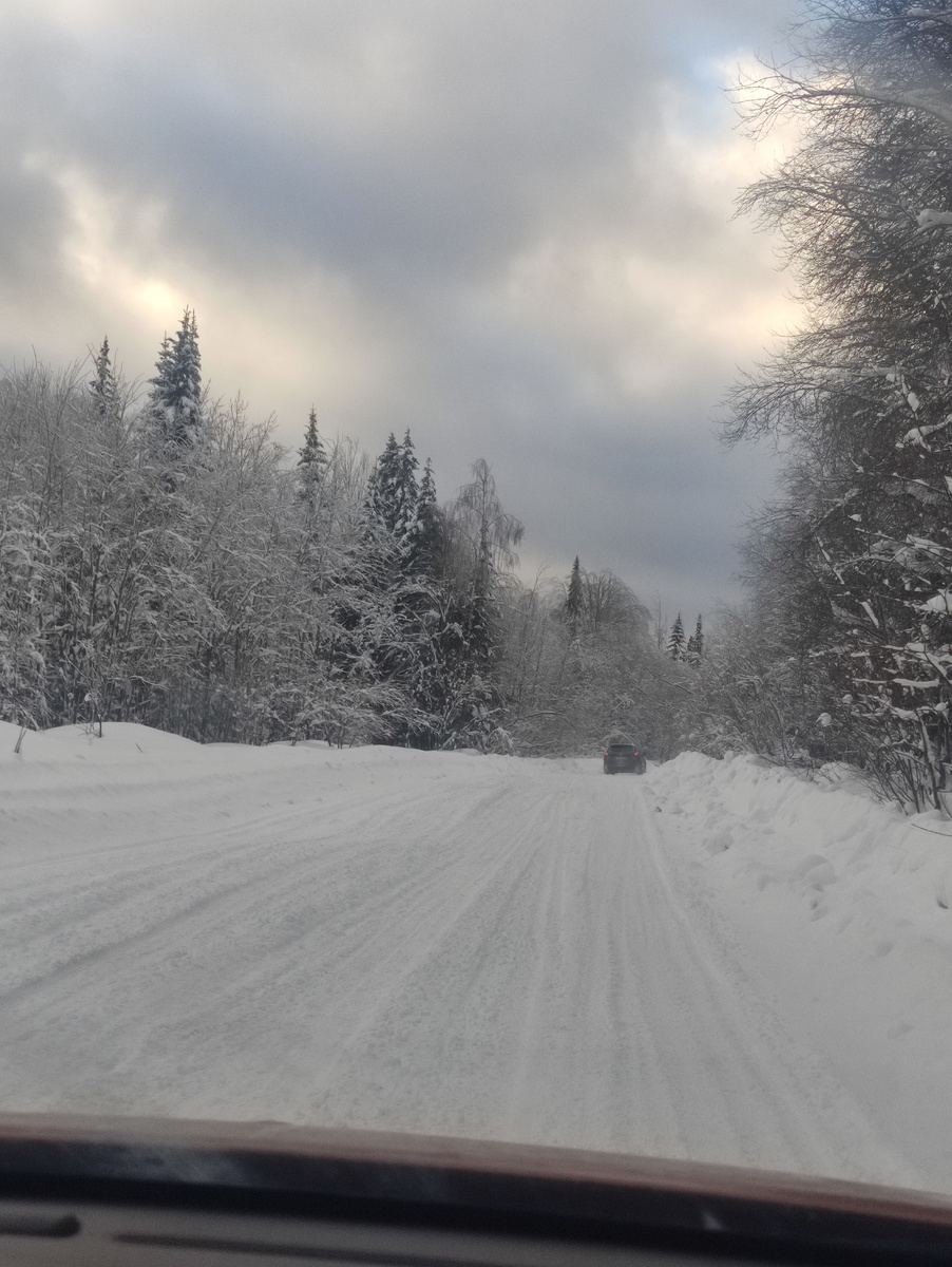 Дорога в Усть-Койва. 