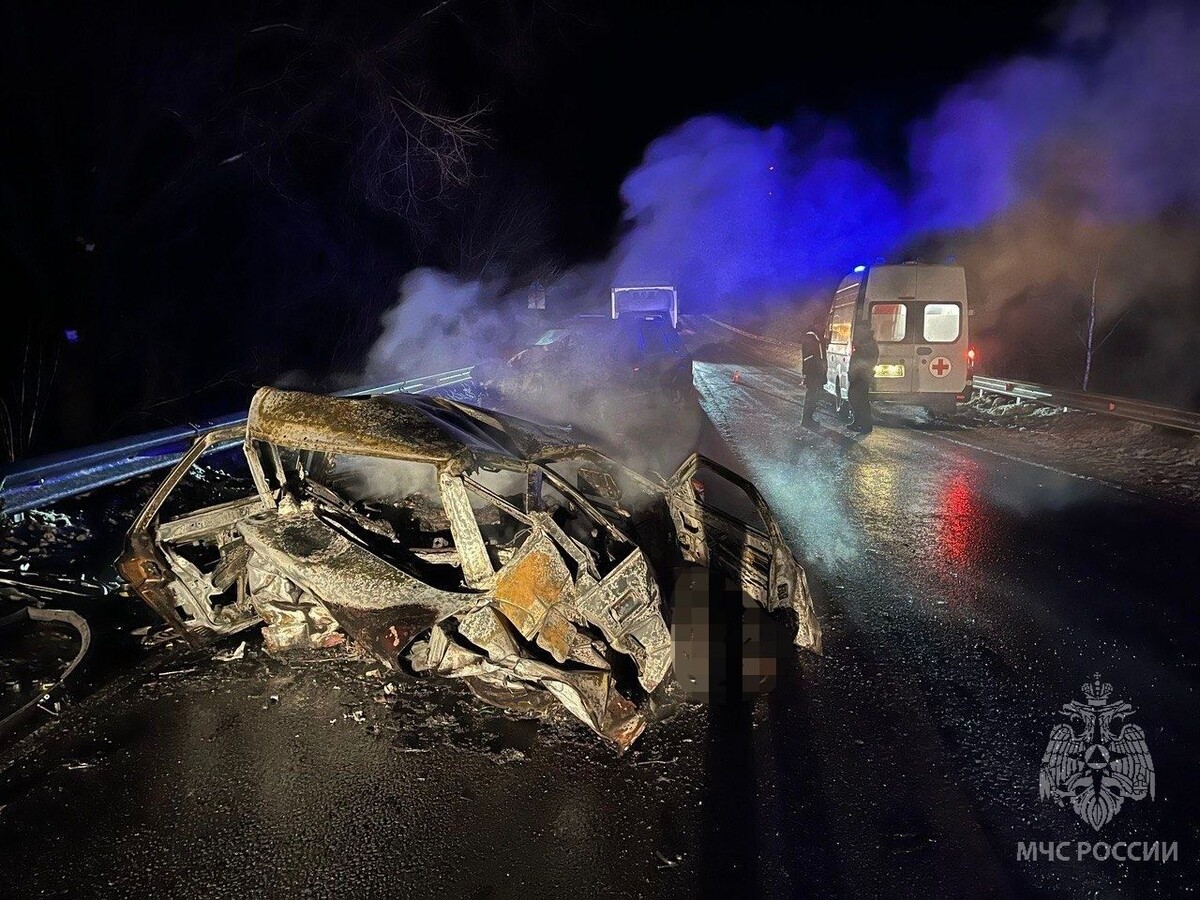     / Источник: МЧС Нижегородской области
