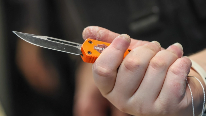 Фото: Belkin Alexey/globallookpress