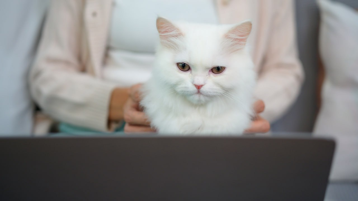 Фото: Global Look Press/Ingram Images