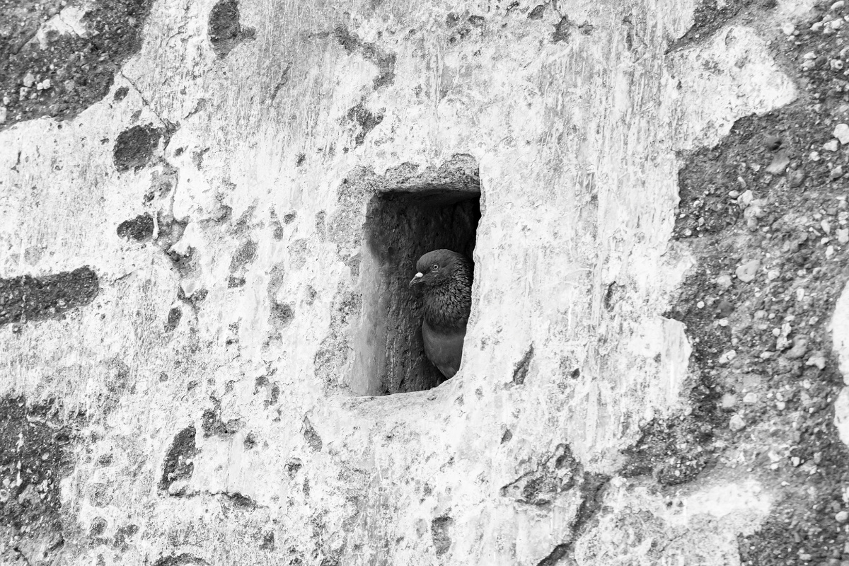 Картинка с бесплатного фотостока https://unsplash.com, автор VD Photography