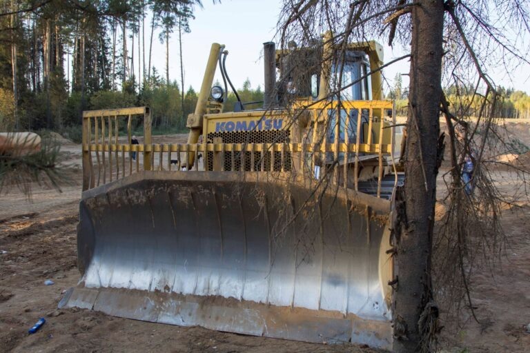    Фото: Общественная Служба Новостей Ксения Евдокимова