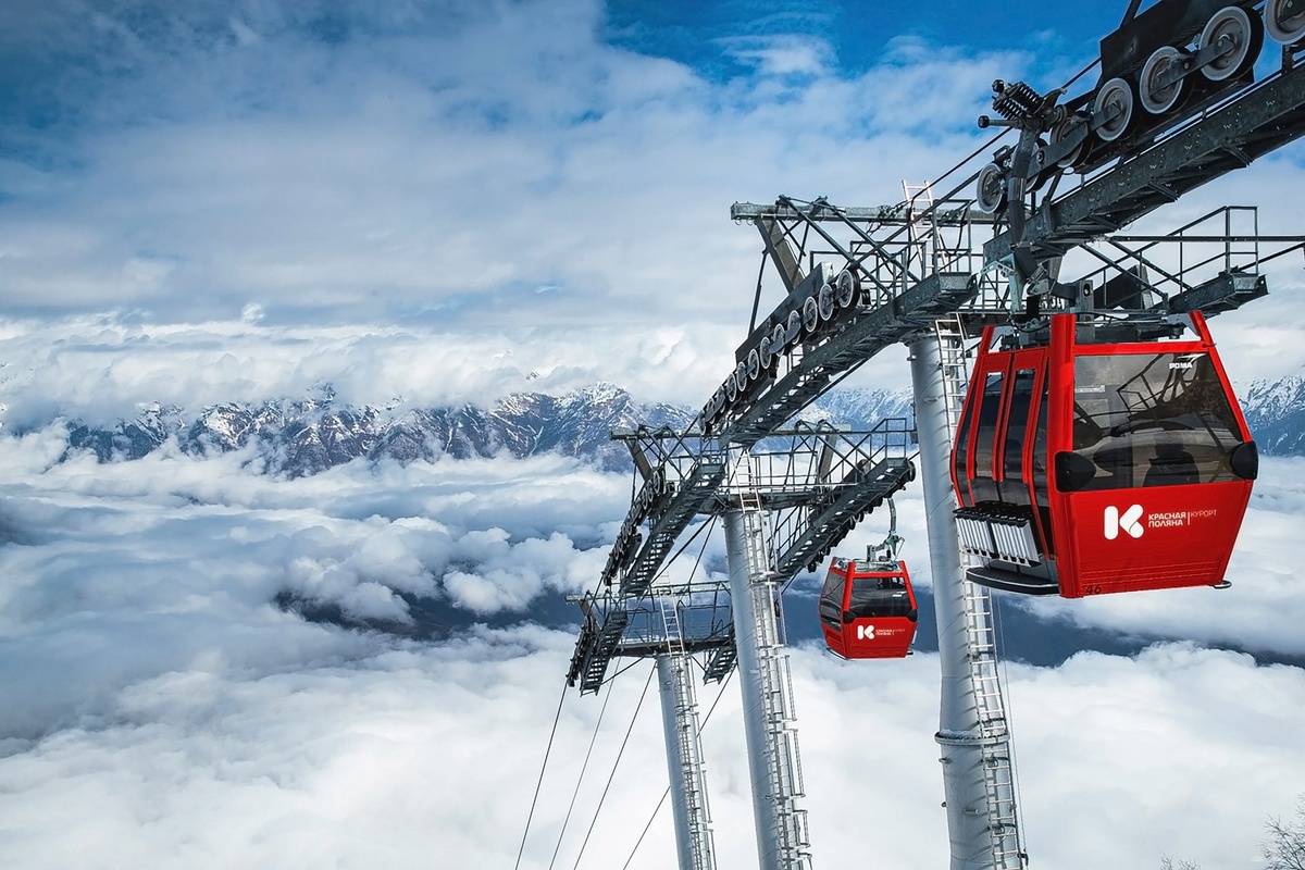 Фото: Telegram/Сочи Официальный  📷
