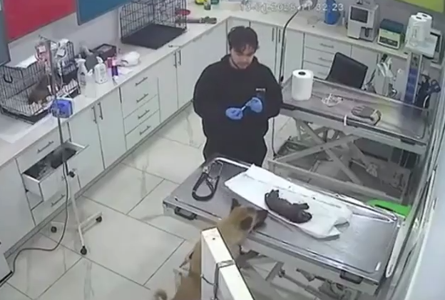 фото: видео скриншот соцсети