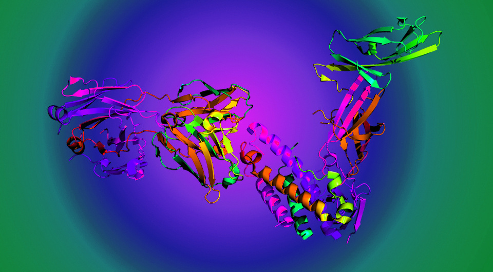   N + 1; Pleiotrope / Wikimedia Commons / Public Domain