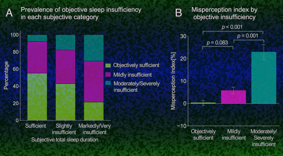   N + 1; Minori Masaki et al. / PNAS, 2025