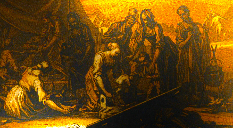   N + 1; Wellcome Collection / CC-BY-4.0