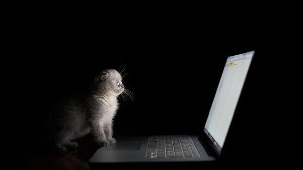    © Getty Images / Nico De Pasquale Photography