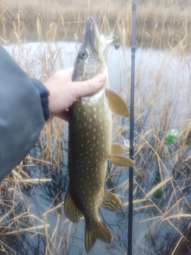    Фото: соцсети./ Олег Близнюк