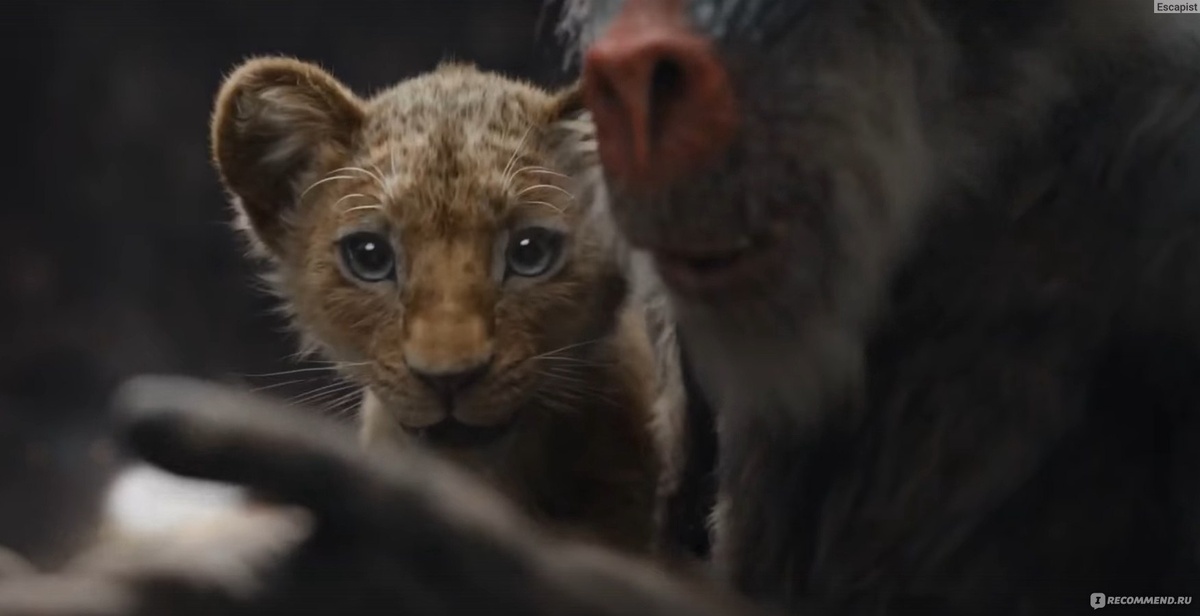 Кадр из фильма «Муфаса: Король Лев»