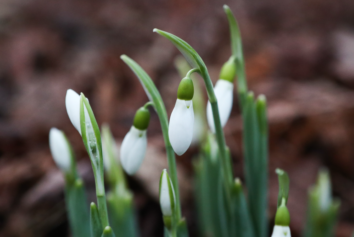 Фото: Сергей Карпухин/ТАСС