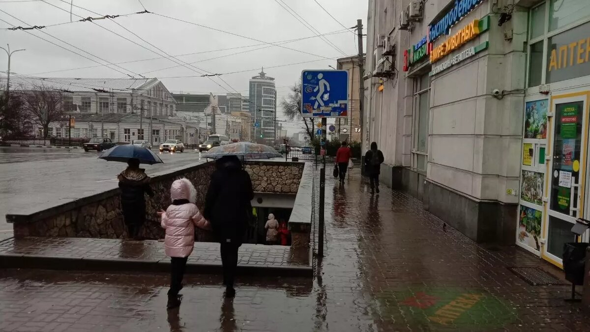     Источник: rostovgazeta.ru