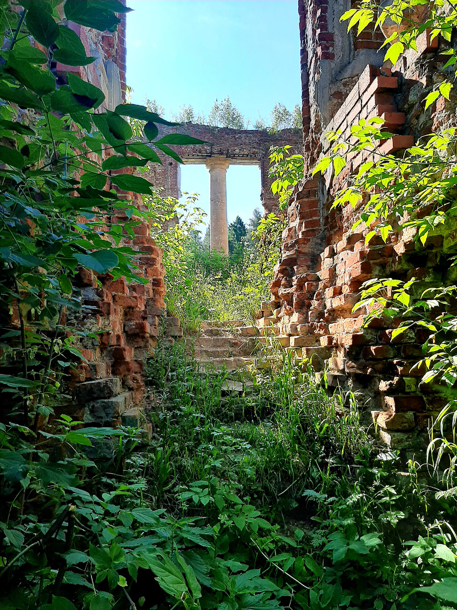 Усадьба Петровское - Княжищево 