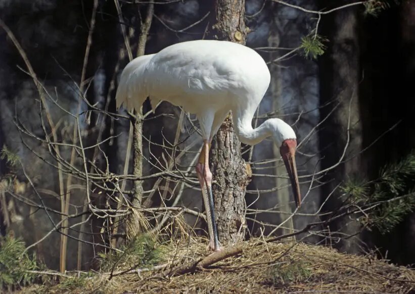     © РИА Новости. Роготнев