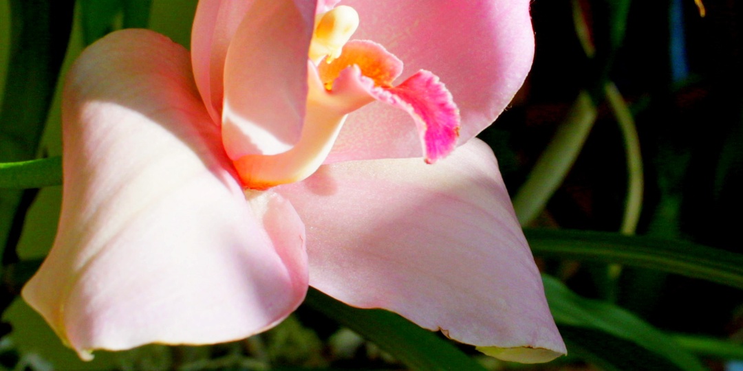 В чем кого осудишь, в том и сам побудешь