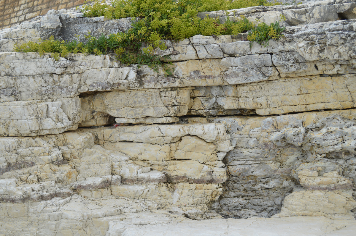 Фото из личного архива