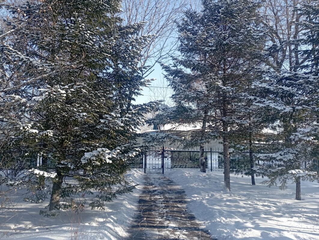    Так ели выглядят сейчас.