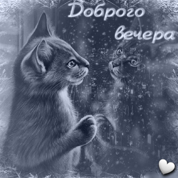 Яндекс картинки