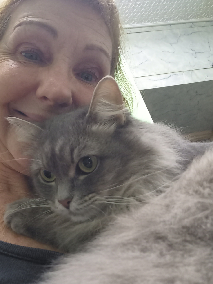 Моя кошка Леся и кот Степан, автор Елена