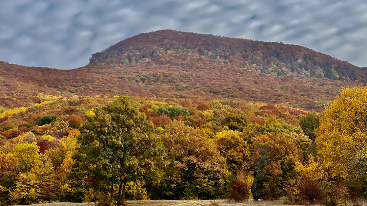 Фото из интернета