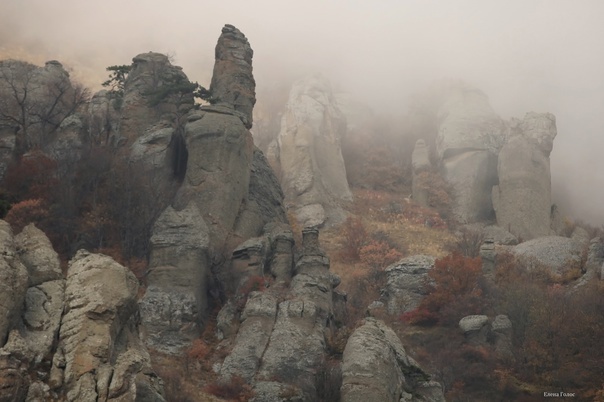 Фото из интернета