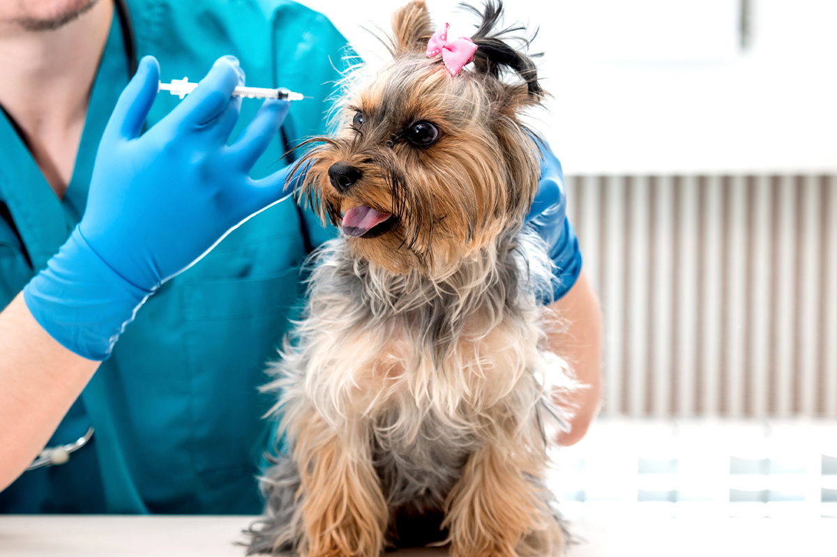 Обе процедуры несут определенные риски, связанные с реакцией организма 