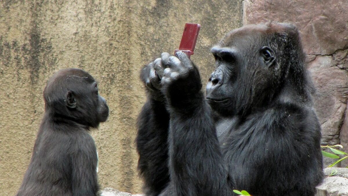 -Сейчас я позвоню твоей жене, сынок, и все улажу!