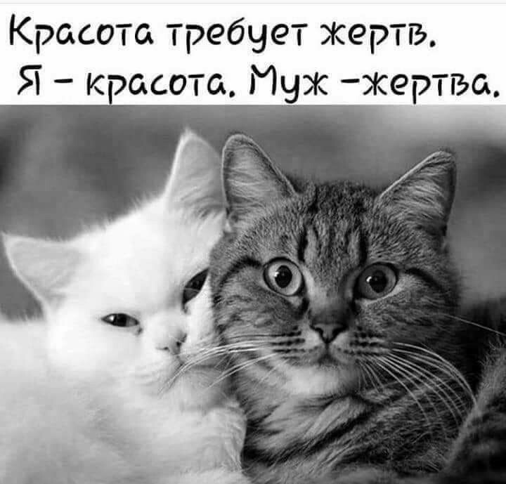 источник Яндекс-картинки