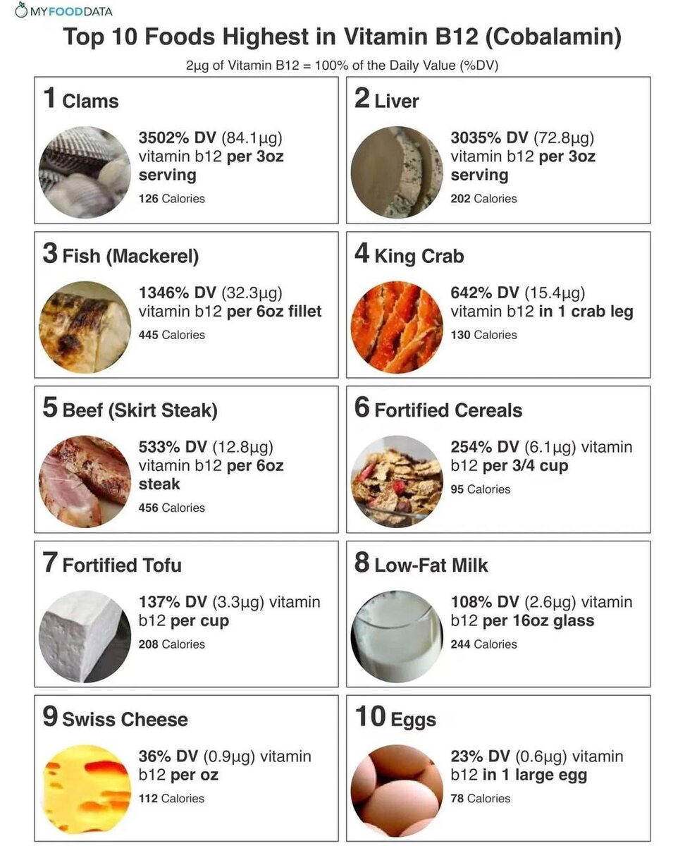 Продукты, богатые витамином B12