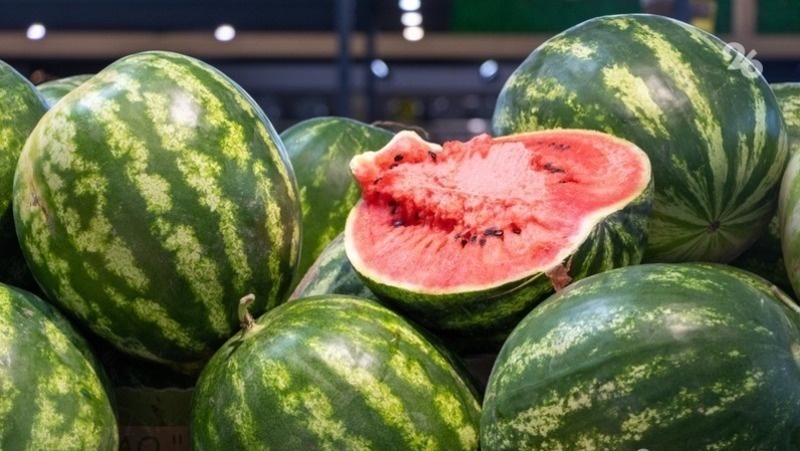      Фото: ИА «Победа26»