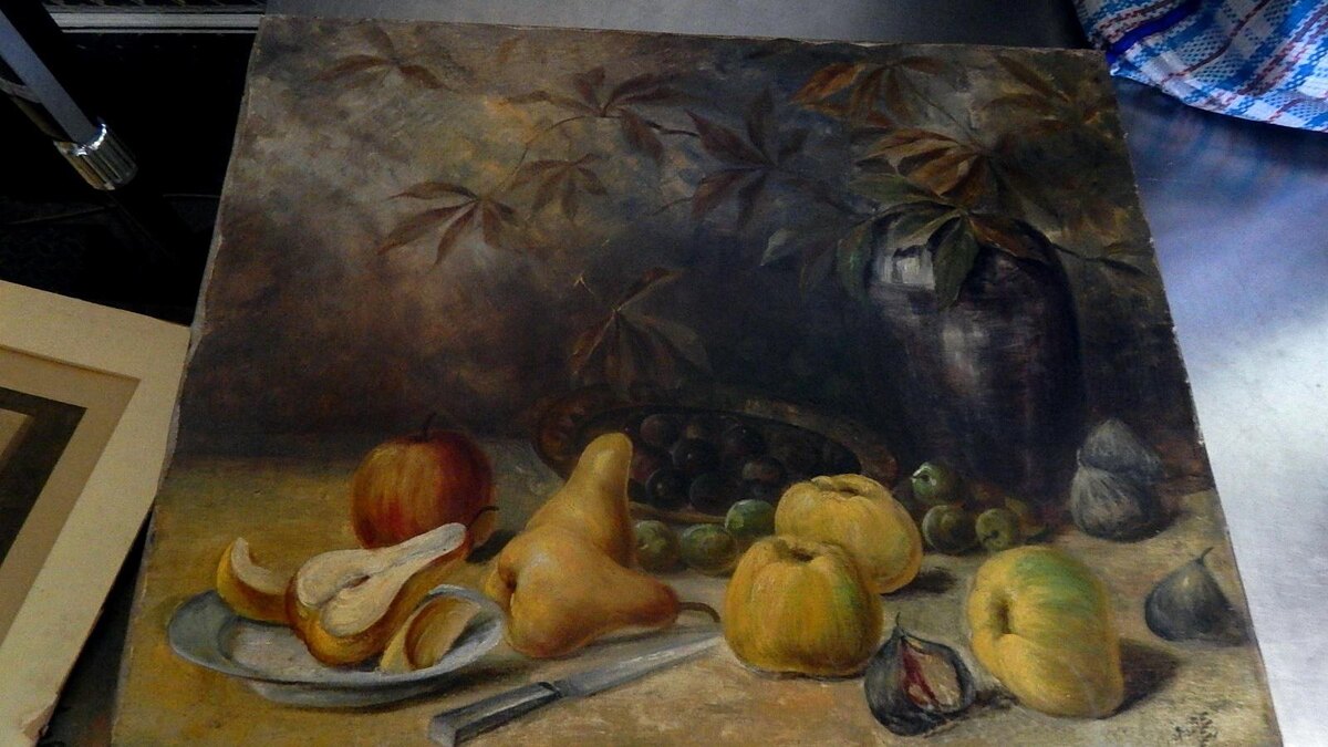    Фото: пресс-служба СЗТУ