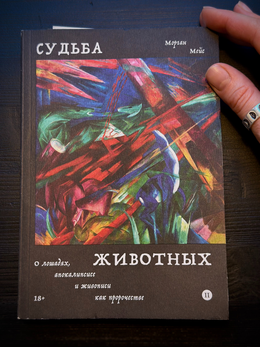 Фото автора.