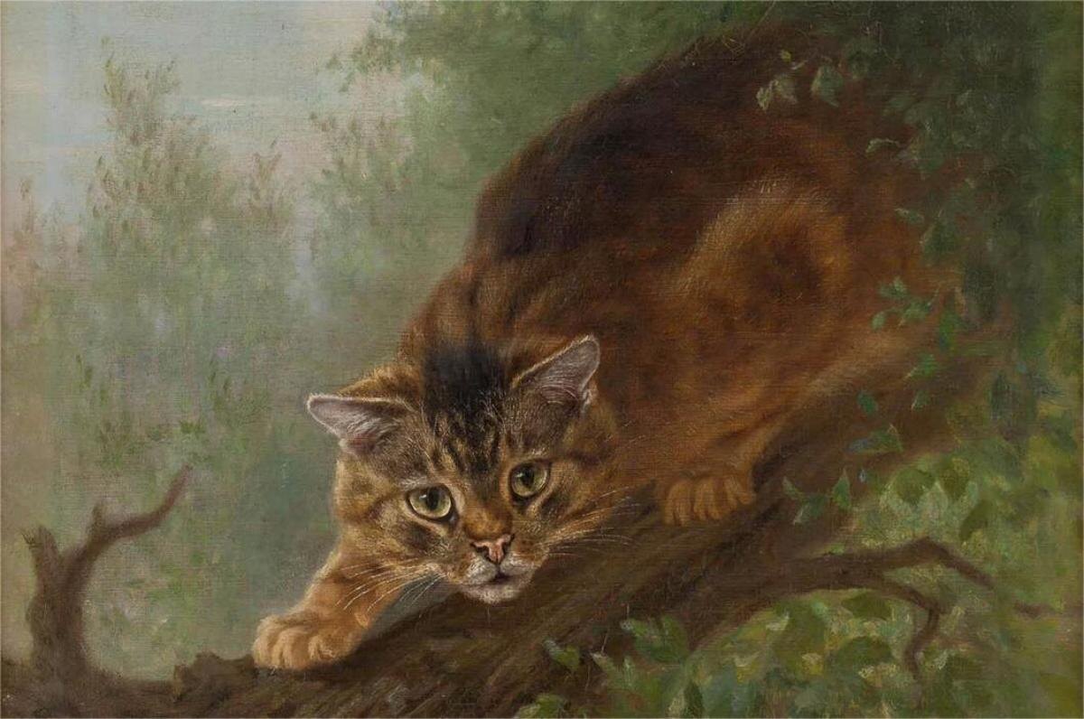 Фото: Валериан Яблочкин, "Кот"