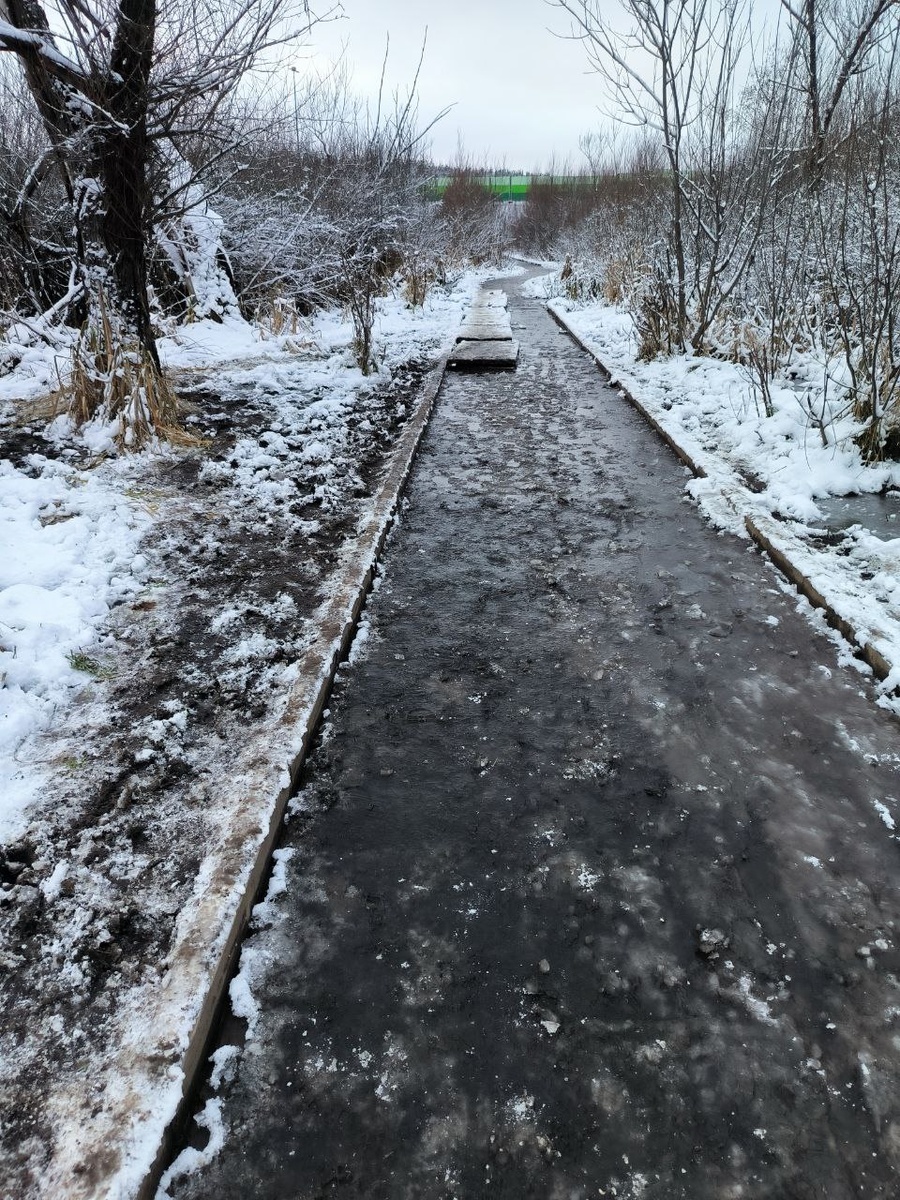 И здесь тоже ходят. Фото автора.