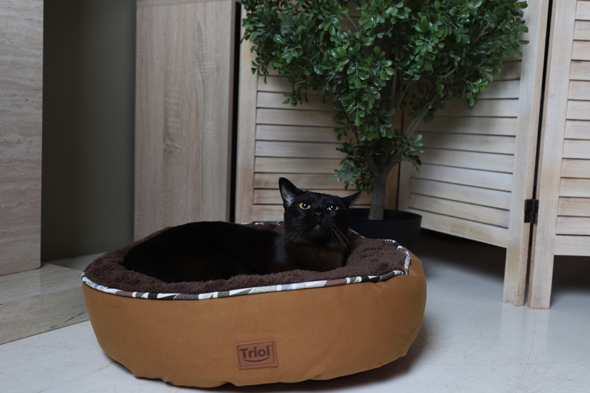 На фото – лежанка «Осенняя классика» от бренда Triol 