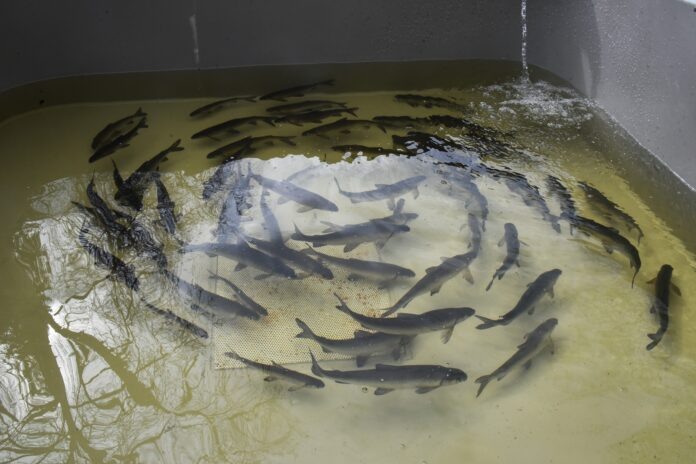    Фото: oblgazeta.ru Георгий