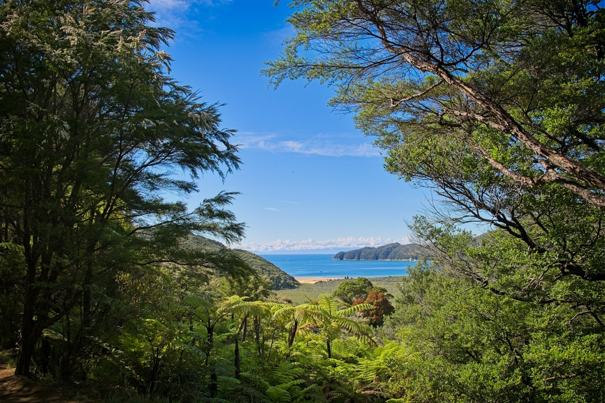 Фото с бесплатного фотостока https://unsplash.com, автор Sylvain Cleymans