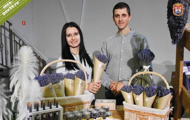    Лаванда, облепиха и необычные сорта базилика в числе агростартапов Калининградской области