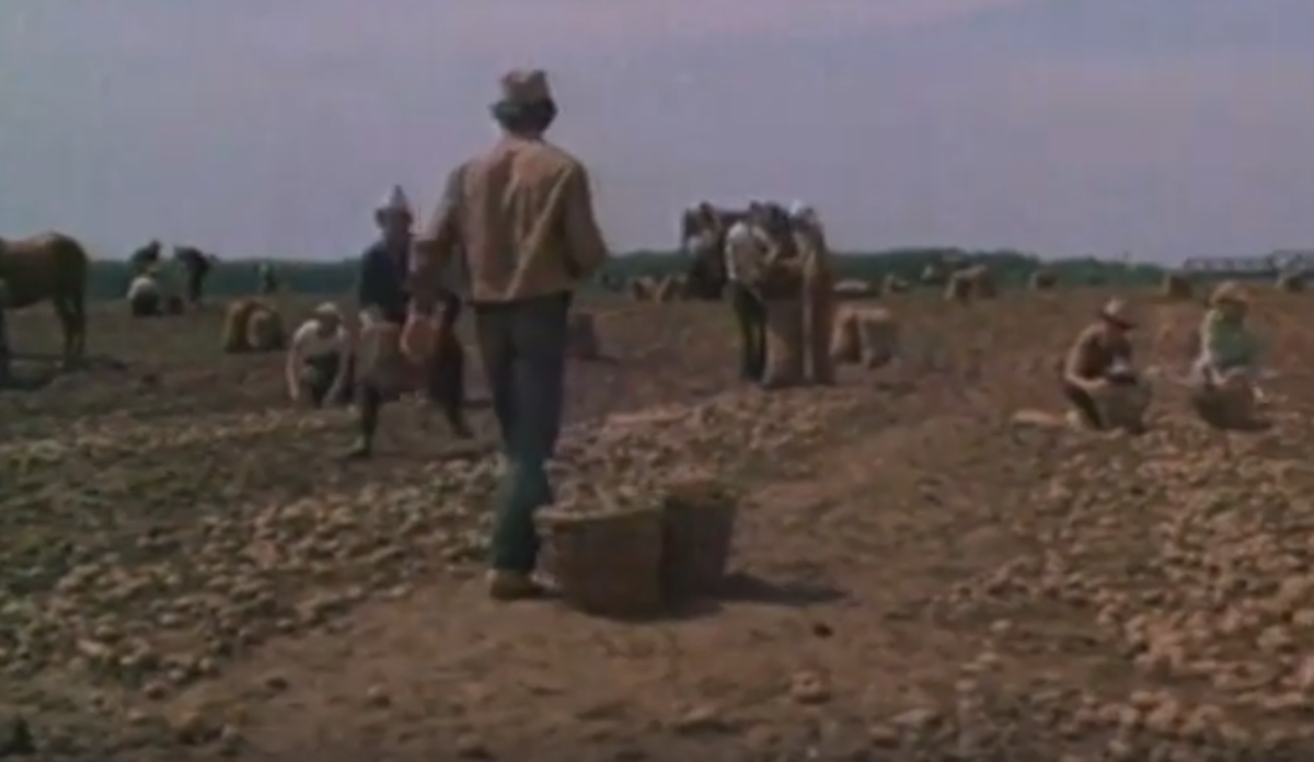 Кадр из фильма "Баламут"