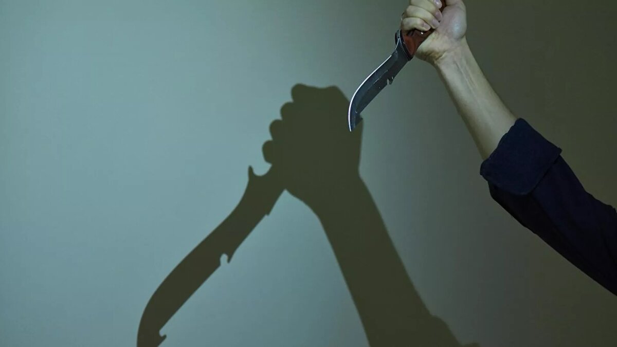 © Sputnik / Табылды Кадырбеков