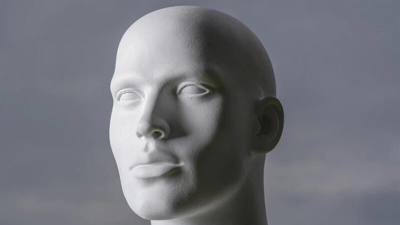     Голова, череп. СС0