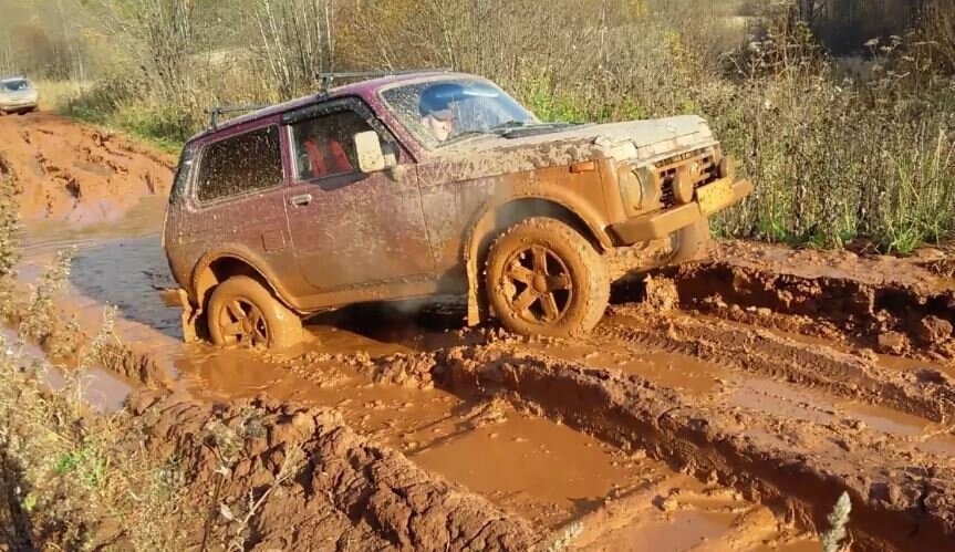 Фото из открытых источников