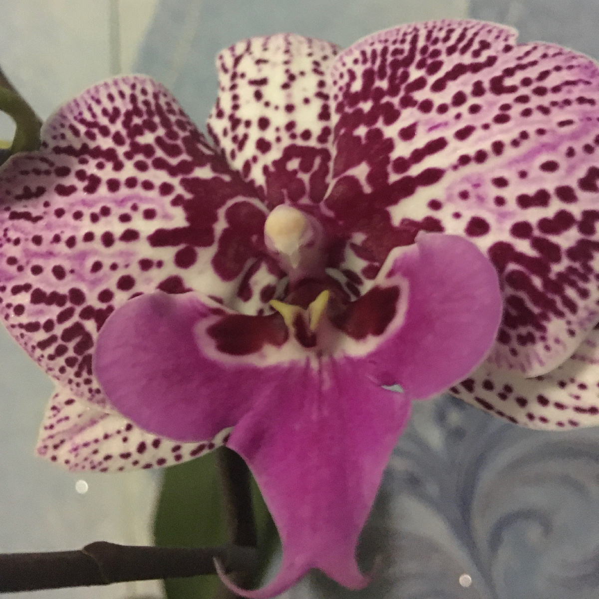 Всем мира и добра