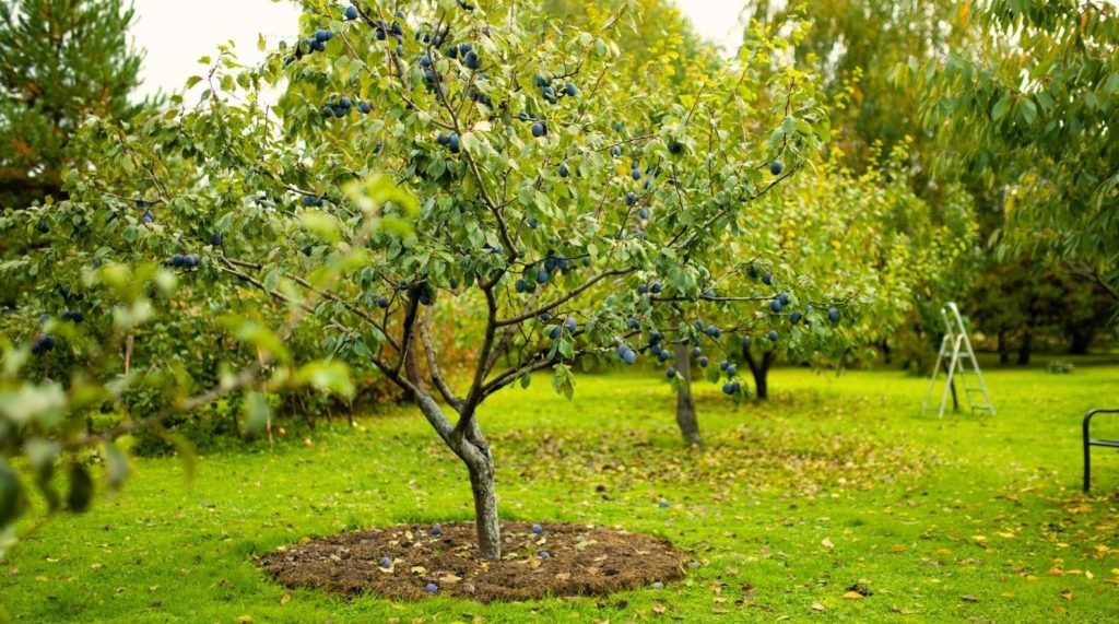 Фото из архива