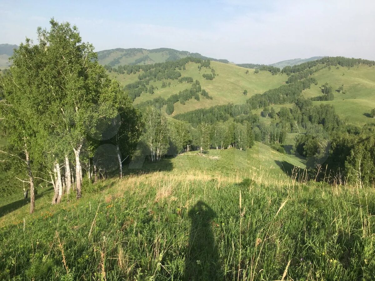 Продаётся земельный участок Алтайский край