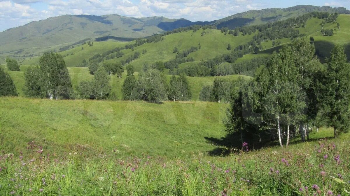 Земля сельхозназначения в продаже