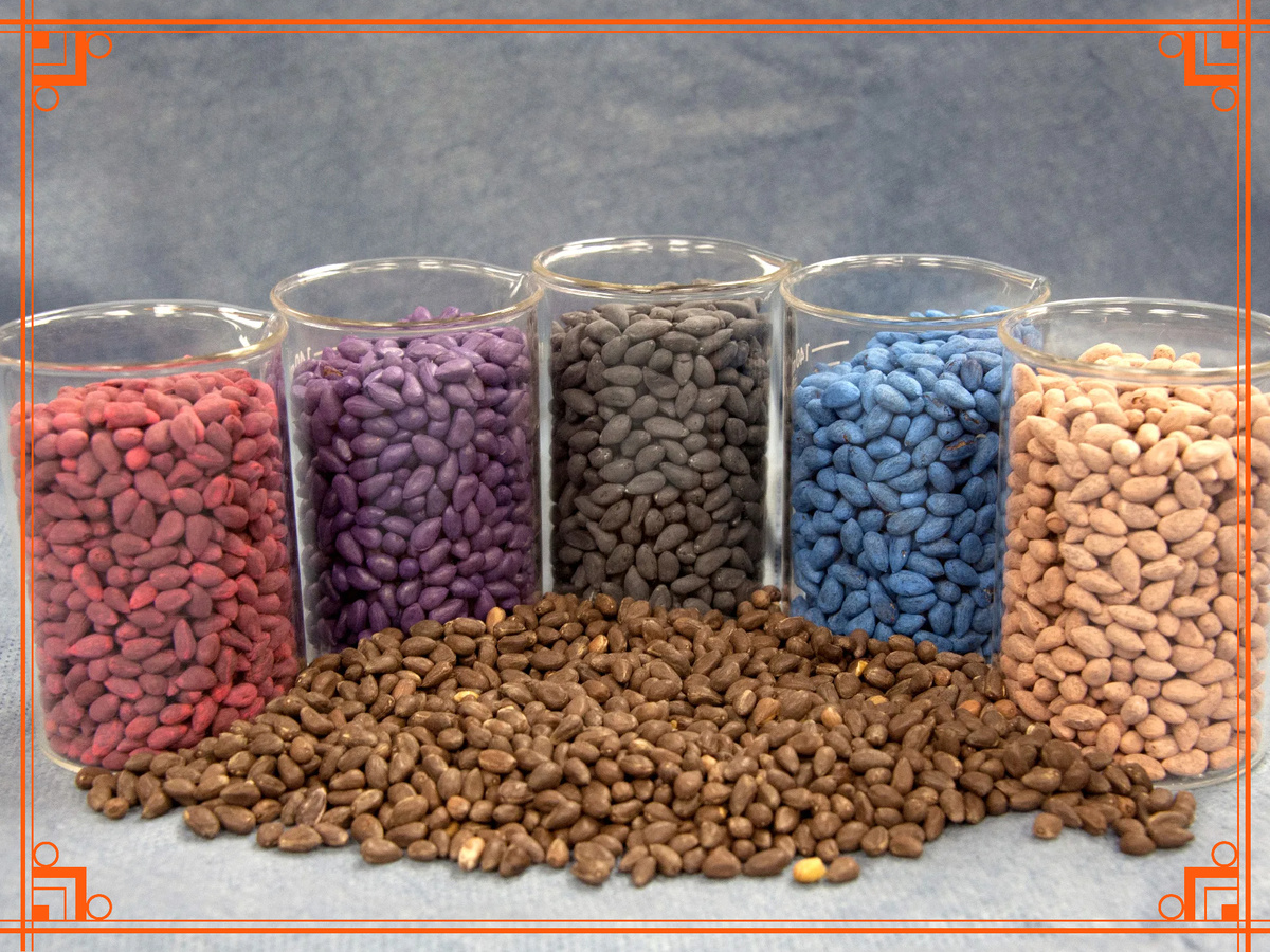 Фото из Интернета. Что такое протравители семян