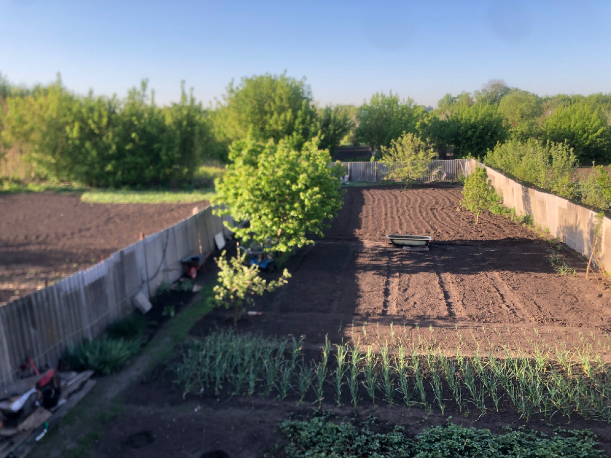 Я - за огород без сорняков. Все Фотоиллюстрации автораz