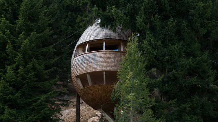 Дом-шишка, https://www.admagazine.ru/