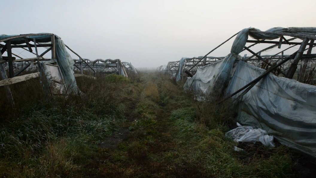    Dmitry Chasovitin/Global Look Press